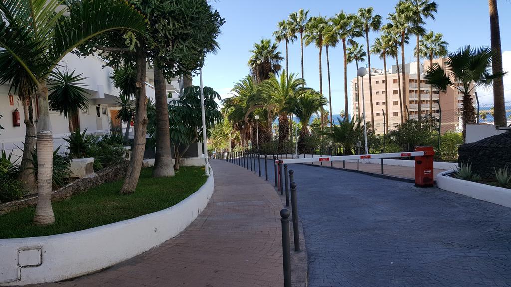 Bamboli Holidays Playa de las Americas  Esterno foto